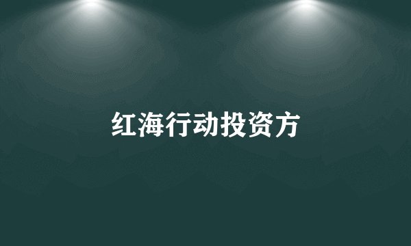 红海行动投资方