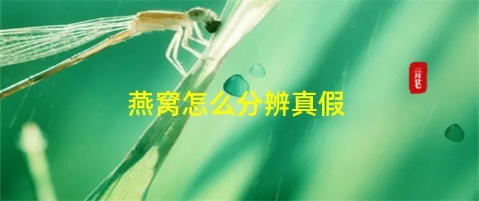 燕窝怎么分辨真假