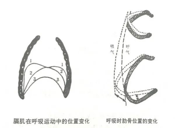播音主持怎样练声?