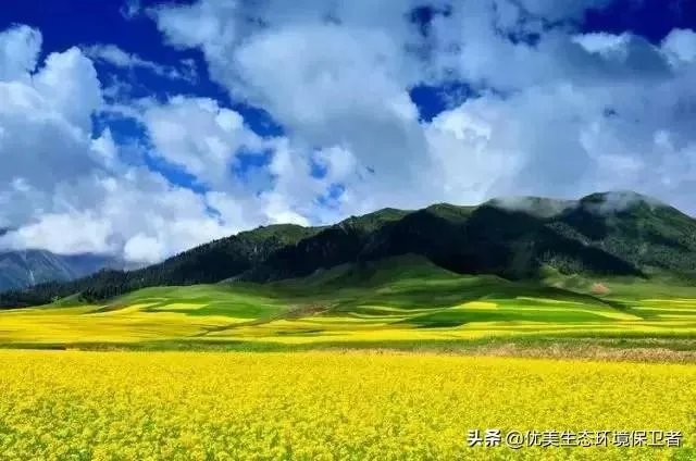 青海祁连山再次出现环境破坏事件,为什么还有人顶风作案?