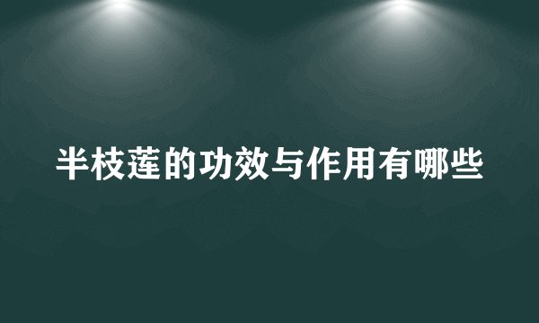 半枝莲的功效与作用有哪些