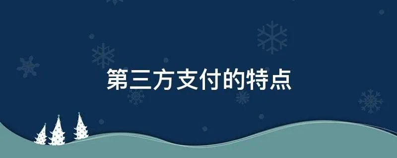 第三方支付的特点