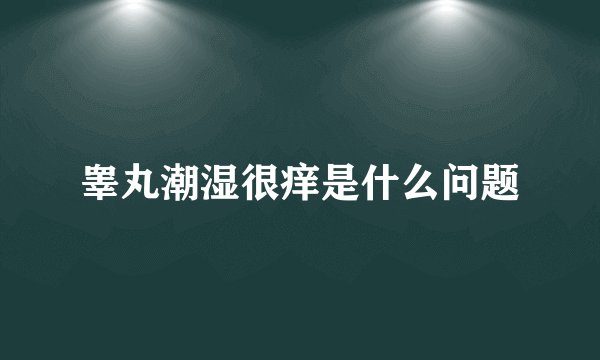 睾丸潮湿很痒是什么问题