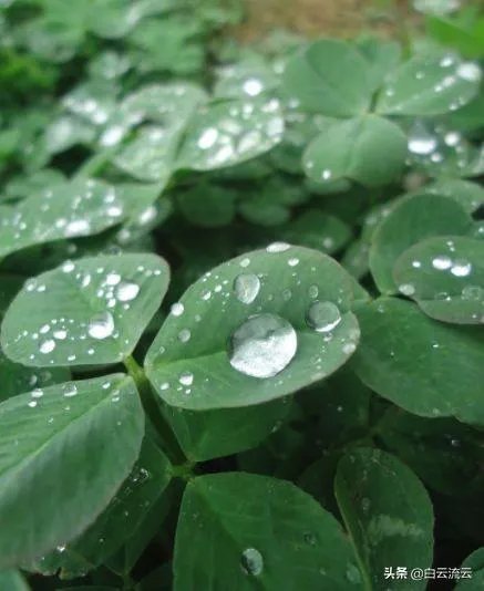 阴雨天如何拍出好照片？