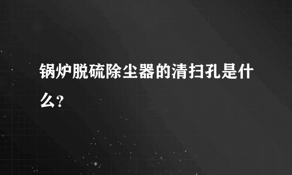 锅炉脱硫除尘器的清扫孔是什么？
