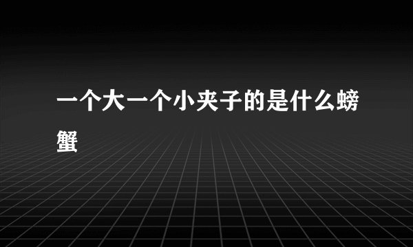 一个大一个小夹子的是什么螃蟹