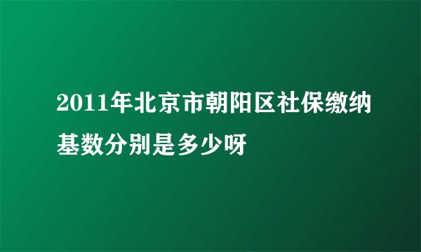 2011年北京市朝阳区社保缴纳基数分别是多少呀