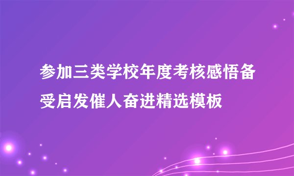 参加三类学校年度考核感悟备受启发催人奋进精选模板