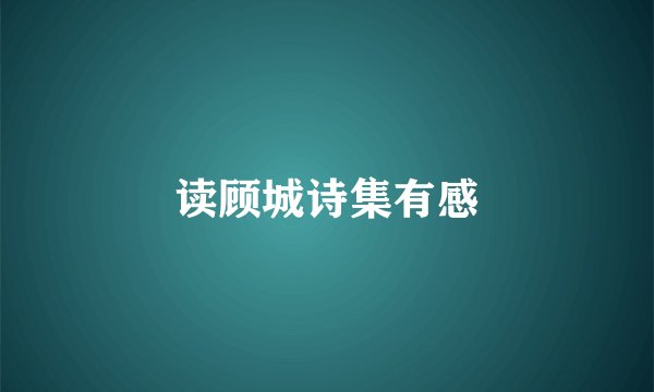 读顾城诗集有感
