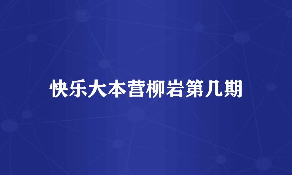快乐大本营柳岩第几期