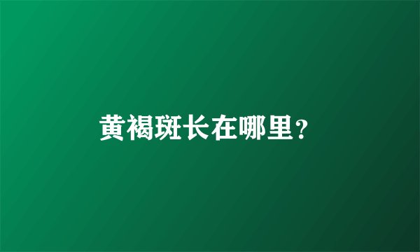 黄褐斑长在哪里？