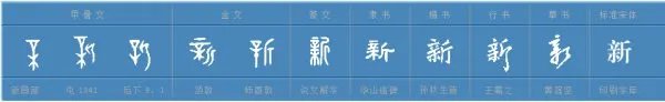 新组词有哪些