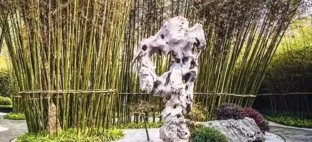 庭院里的这一方石头,历经千年,大有讲究