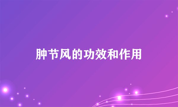 肿节风的功效和作用