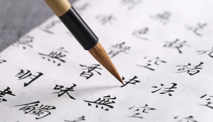 回馈是什么意思
