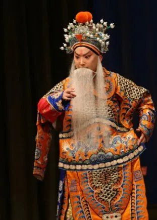 王珮瑜是谁?