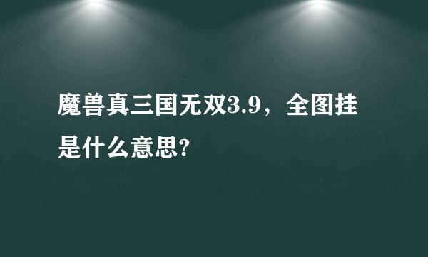 魔兽真三国无双3.9，全图挂是什么意思?