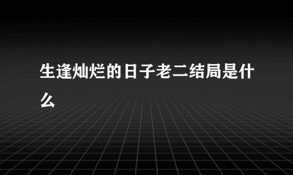 生逢灿烂的日子老二结局是什么