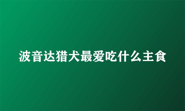 波音达猎犬最爱吃什么主食