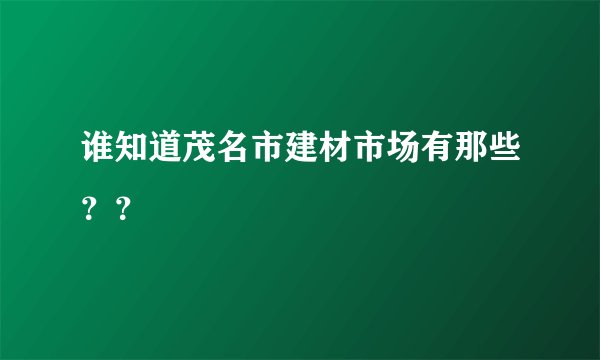 谁知道茂名市建材市场有那些？？