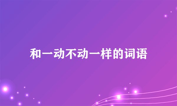 和一动不动一样的词语