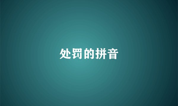 处罚的拼音