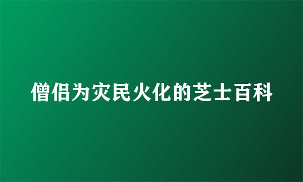 僧侣为灾民火化的芝士百科