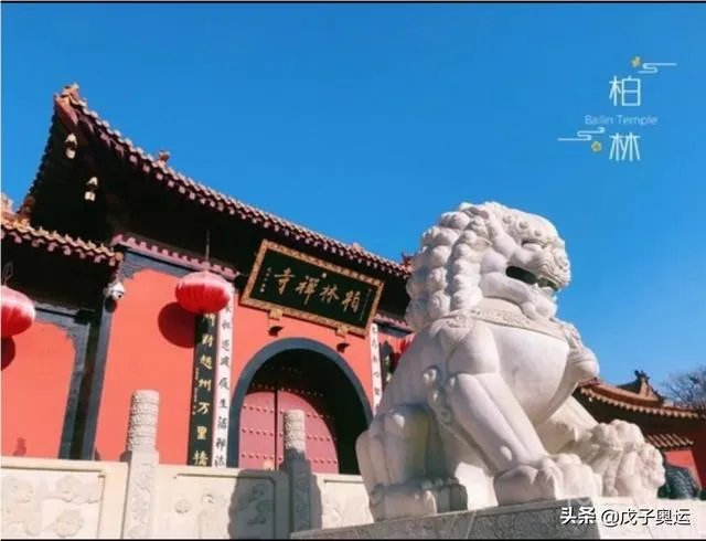 赵县有几个乡?