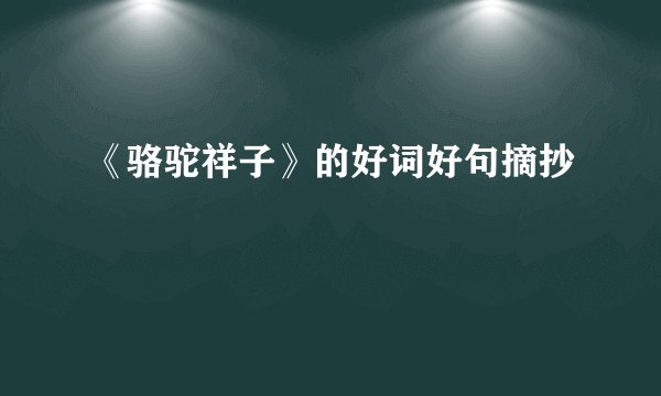 《骆驼祥子》的好词好句摘抄