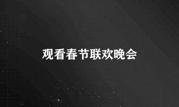 观看春节联欢晚会