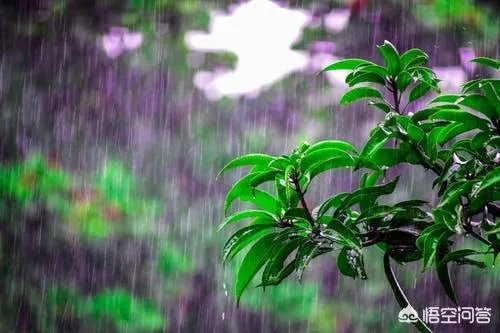 阴雨天如何拍出好照片？