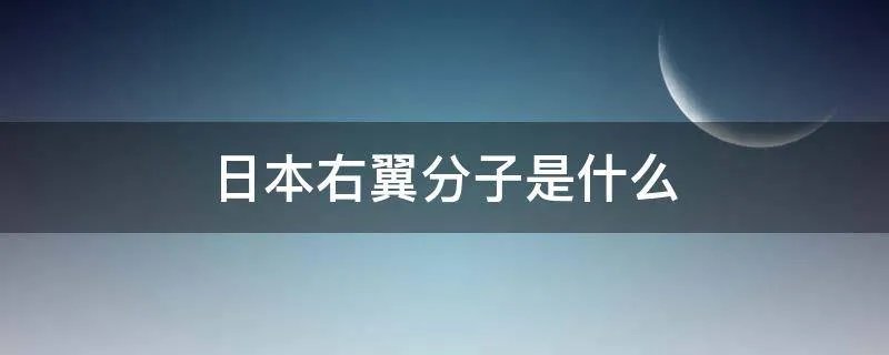 日本右翼分子是什么