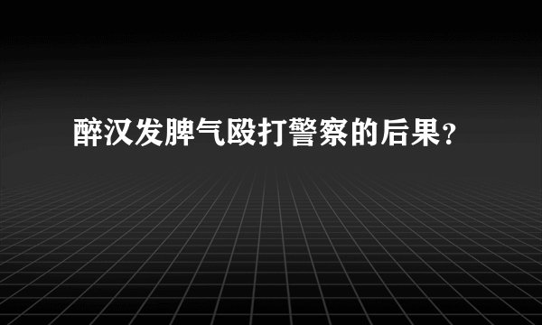 醉汉发脾气殴打警察的后果？