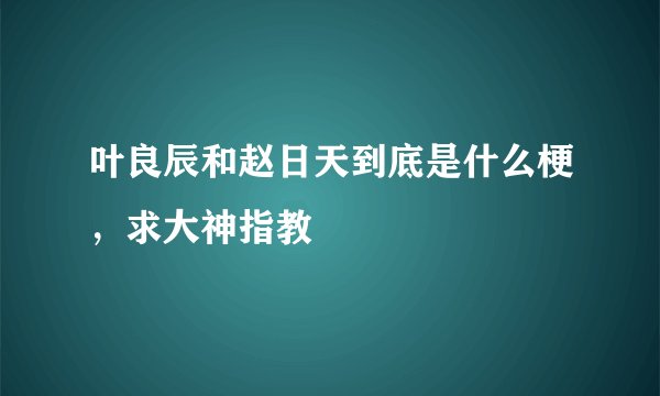 叶良辰和赵日天到底是什么梗，求大神指教