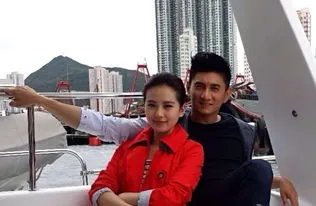 刘诗诗和吴奇隆谁的收入高一些?