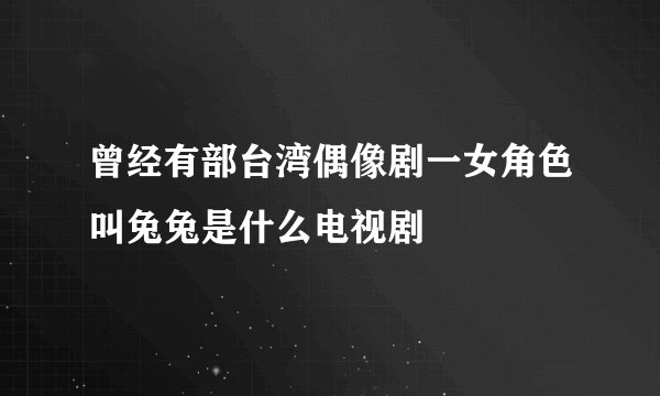 曾经有部台湾偶像剧一女角色叫兔兔是什么电视剧