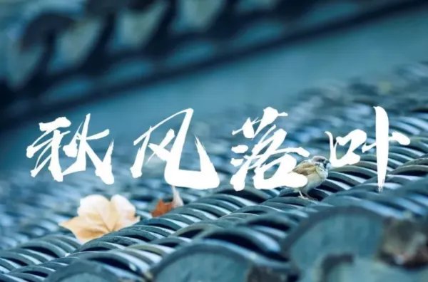 好看的字体有哪些?
