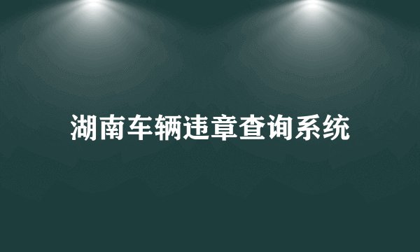 湖南车辆违章查询系统