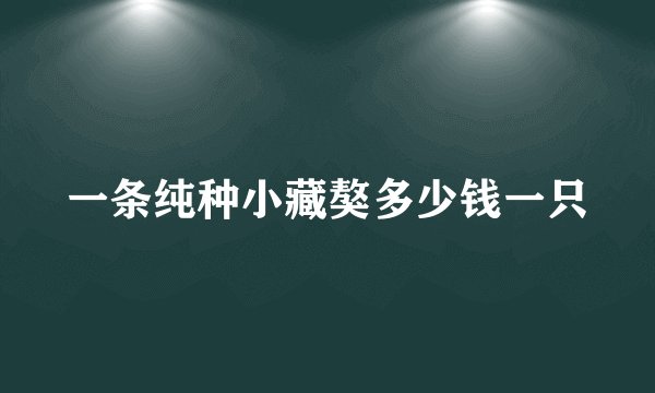 一条纯种小藏獒多少钱一只
