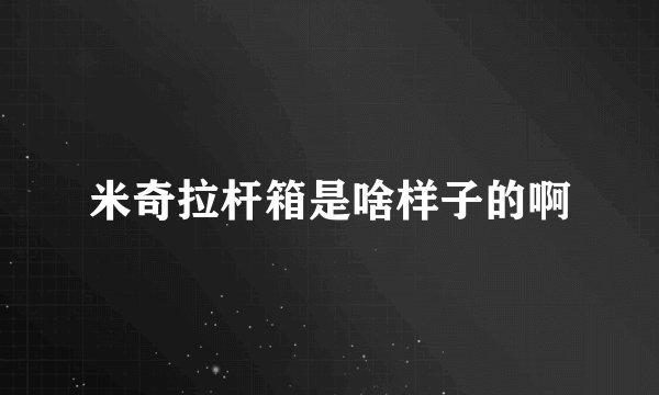 米奇拉杆箱是啥样子的啊