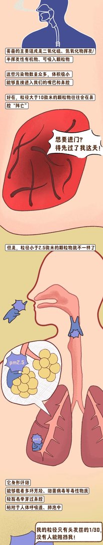 什么是雾霾