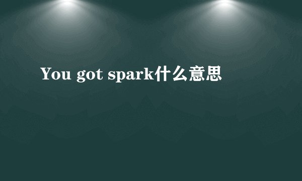 You got spark什么意思