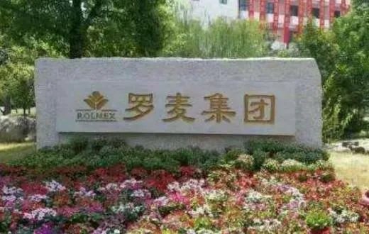 罗麦是一个怎样的公司?