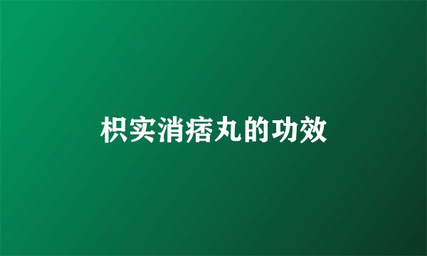 枳实消痞丸的功效