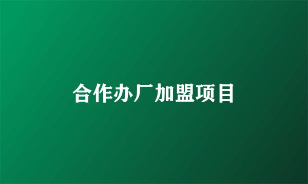 合作办厂加盟项目