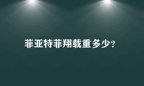 菲亚特菲翔载重多少？