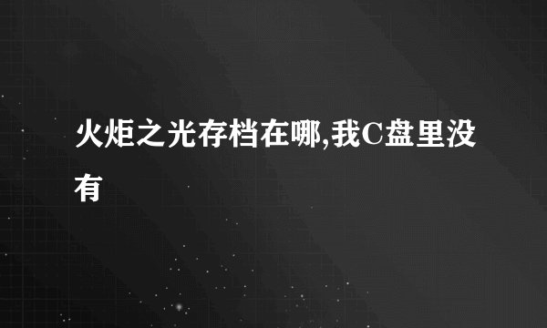 火炬之光存档在哪,我C盘里没有