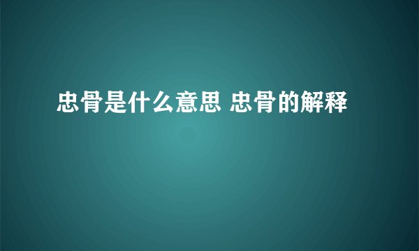 忠骨是什么意思 忠骨的解释