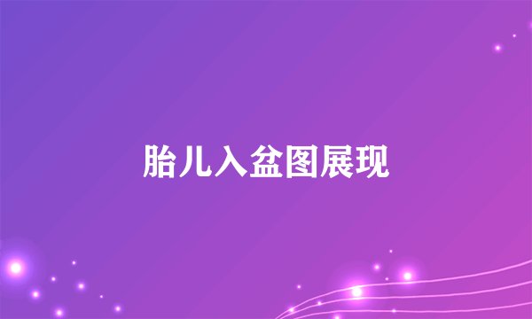 胎儿入盆图展现