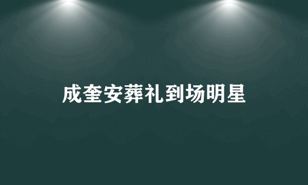 成奎安葬礼到场明星